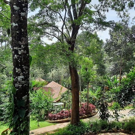 Willow Resorts Ambalavayal Экстерьер фото